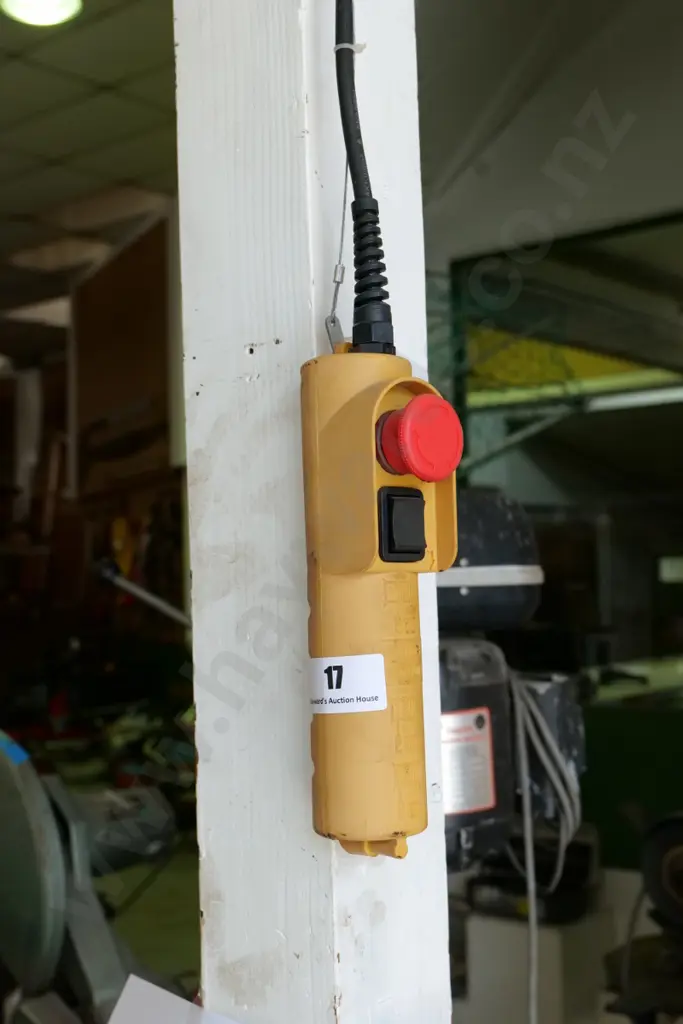  electric hoist - 150kg capacity Image 1++