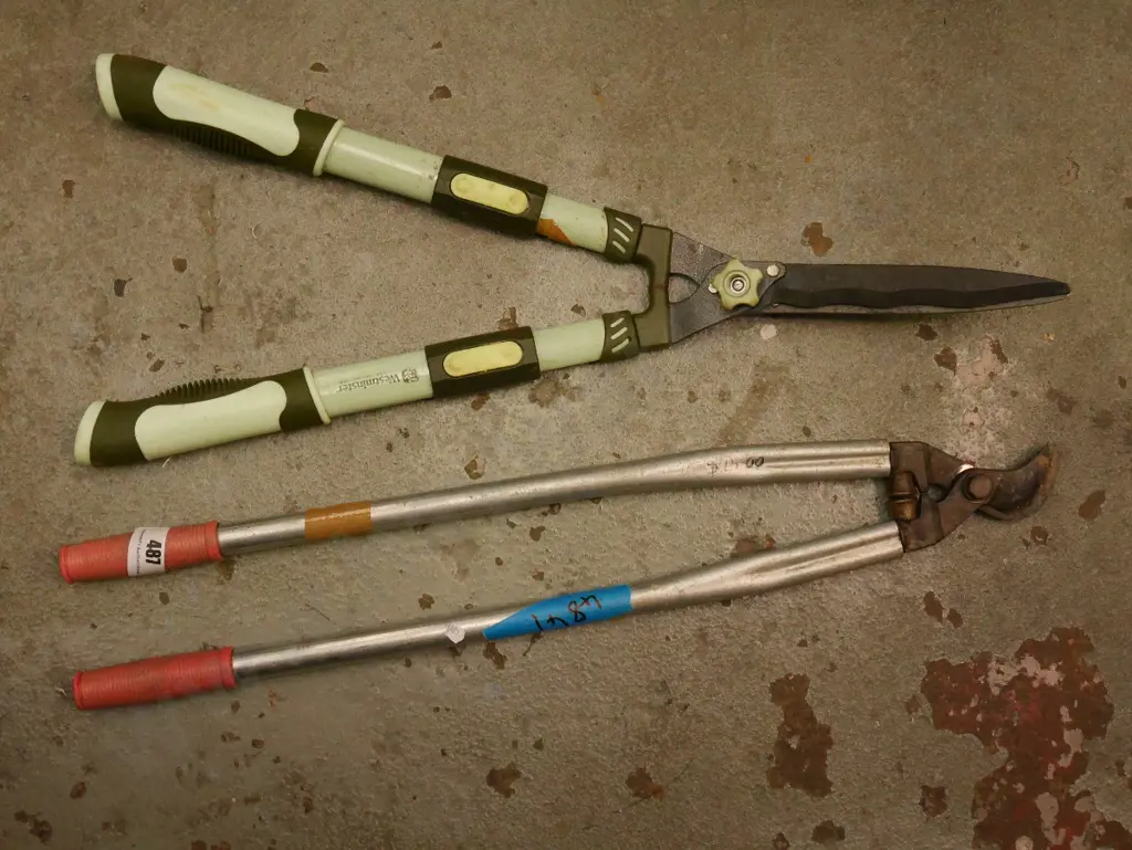 garden loppers, hedge trimmers Image 1++