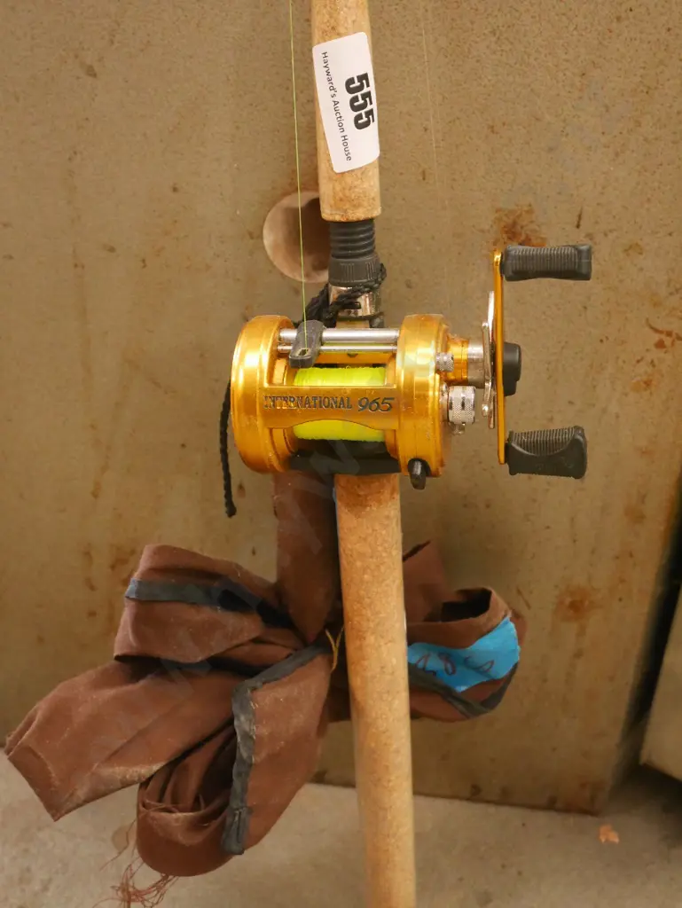 fishing rod and reel Image 1++