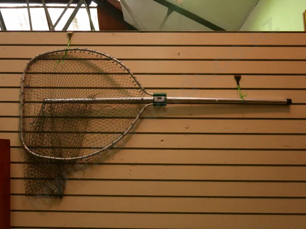 landing net Image 1++