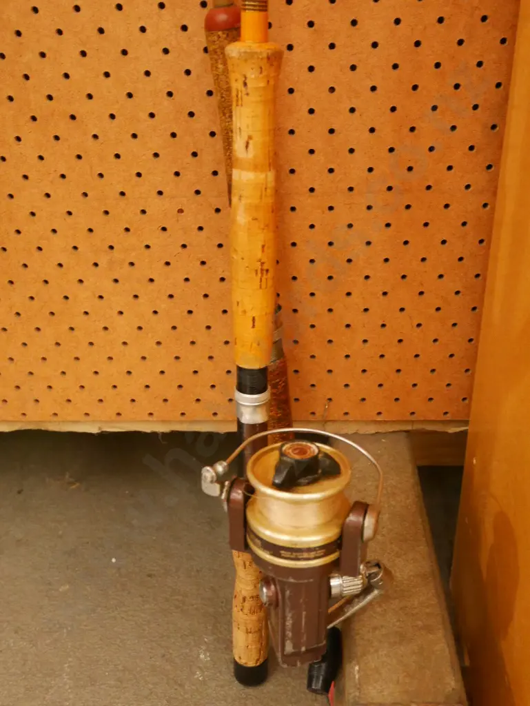 fishing rod and rod and reel Image 1++