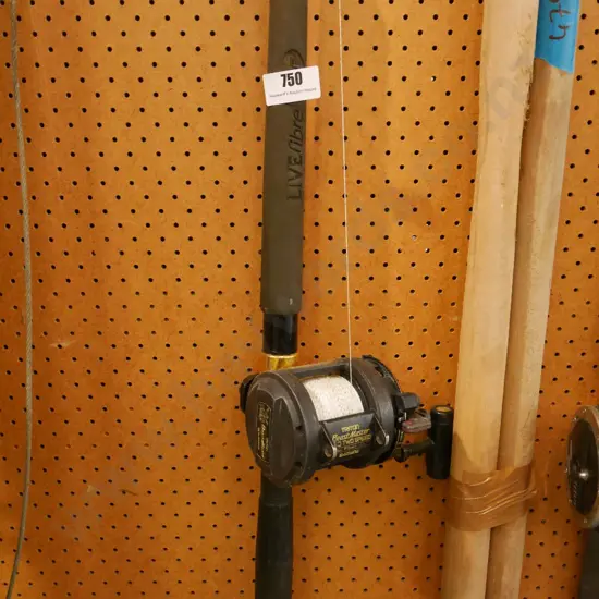 fishing rod and reel