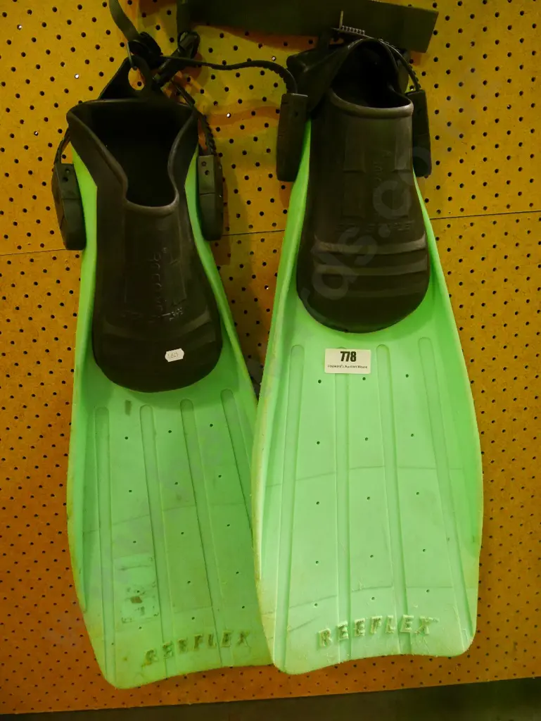 pair of dive flippers Image 1++