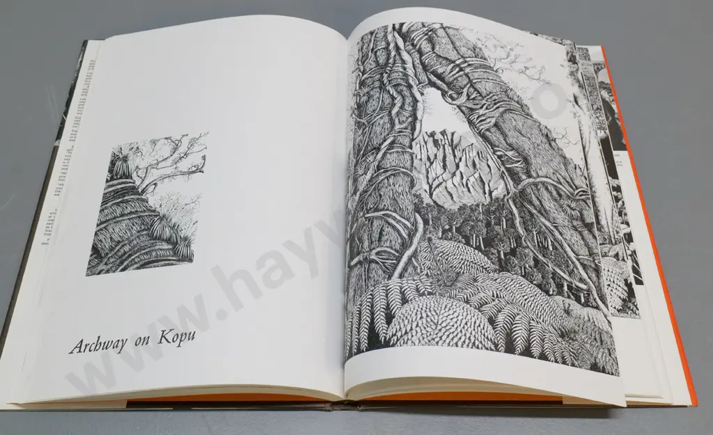 hard cover book - Rei Hamon - Artist of New Zealand's Bush, pub. 1971 - small tear to jacket Image 1++