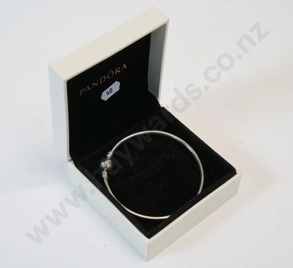 Pandora bangle Image 1++