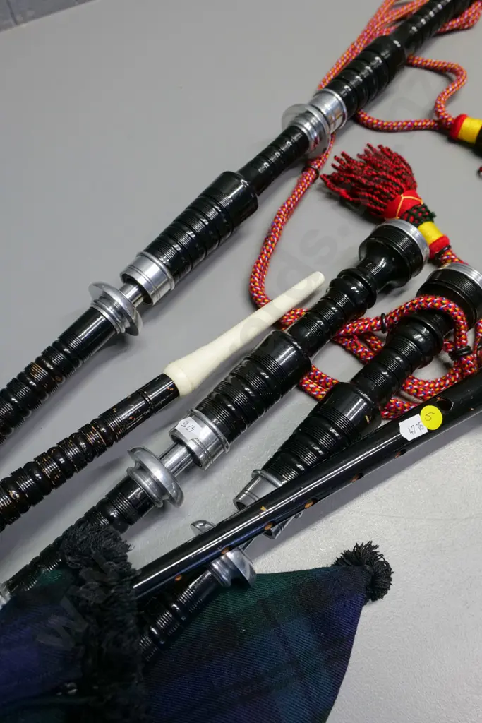 set of bagpipes and carry bag Image 1++