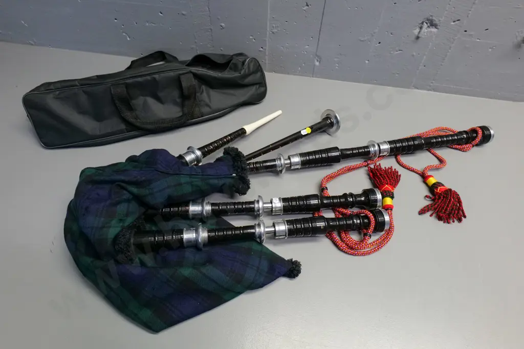 set of bagpipes and carry bag Image 1++