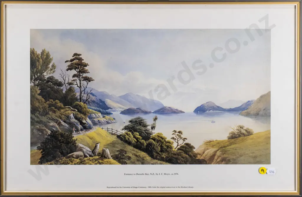 framed historic print - Entrance to Dunedin Bay c1876 H-260 W-460 Image 1++