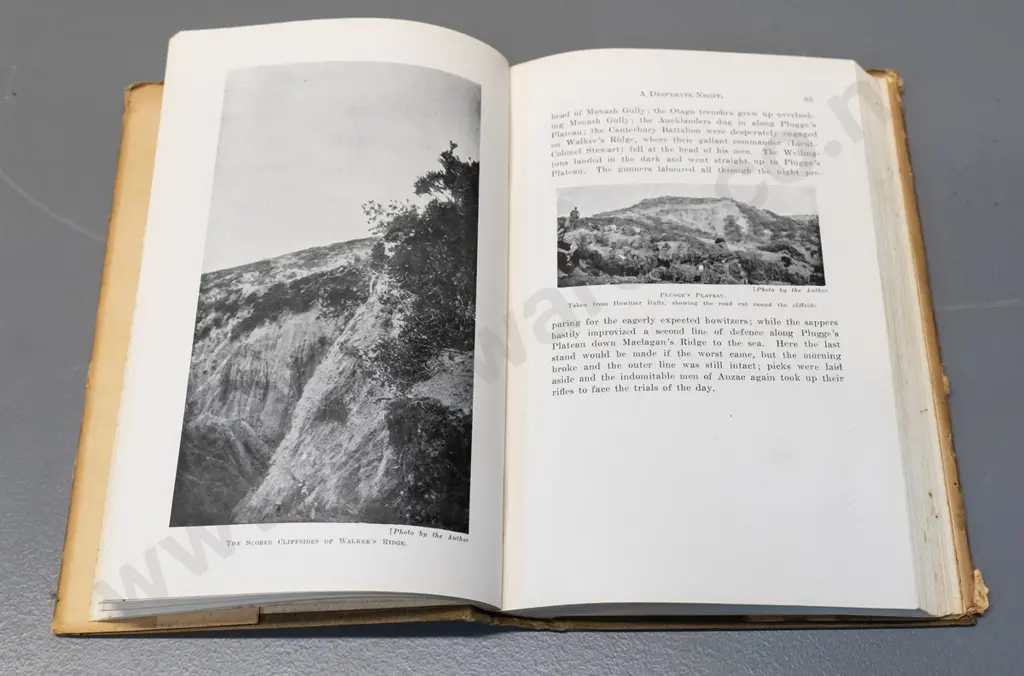 book: New Zealander's At Gallipoli - Major Fred Waite, 1919 Whitcombe & Tombs, map intact. Some wear, cut to fly leaf Image 1++