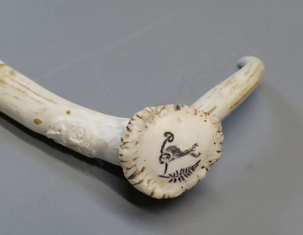walking stick made from segments of horn with relief tiki motif, koru & fern motifs on handle L-880 Image 1++