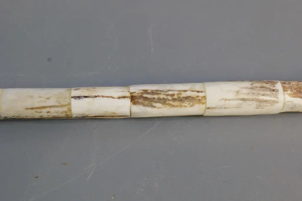 walking stick made from segments of horn with relief tiki motif, koru & fern motifs on handle L-880 Image 1++