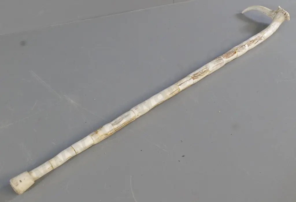 walking stick made from segments of horn with relief tiki motif, koru & fern motifs on handle L-880 Image 1++