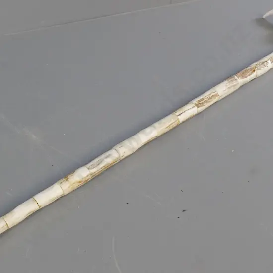 walking stick made from segments of horn with relief tiki motif, koru & fern motifs on handle L-880