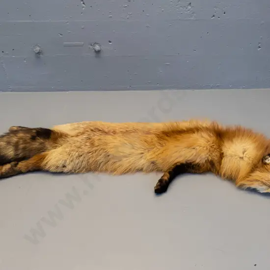 red fox fur stole with bakelite or plastic clip - one ear crumpled L-1120