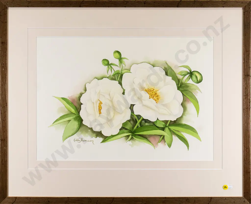 Hilda Thomson - framed watercolour - roses H-360 W-510 Image 1++
