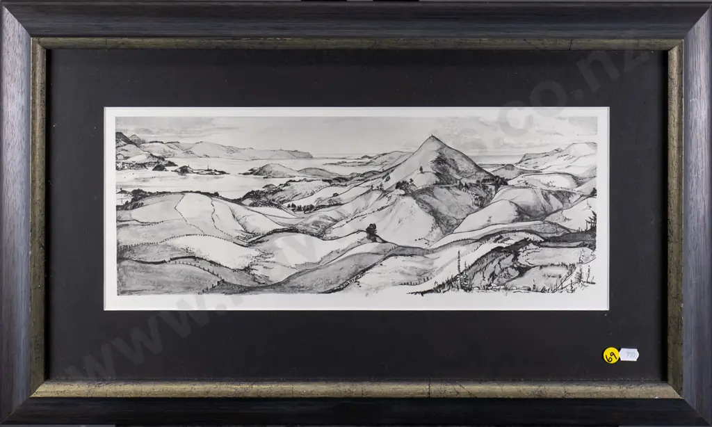 framed HV Miller prnt - Otago Peninsula H-160 W-420 Image 1++