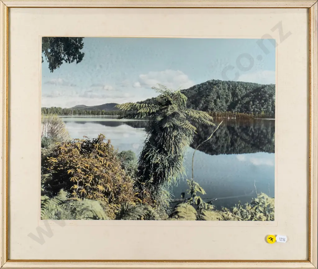 framed vintage photograph - lake scene (surround needs attention and glass needs cleaned)  H-290 W-360 Image 1++