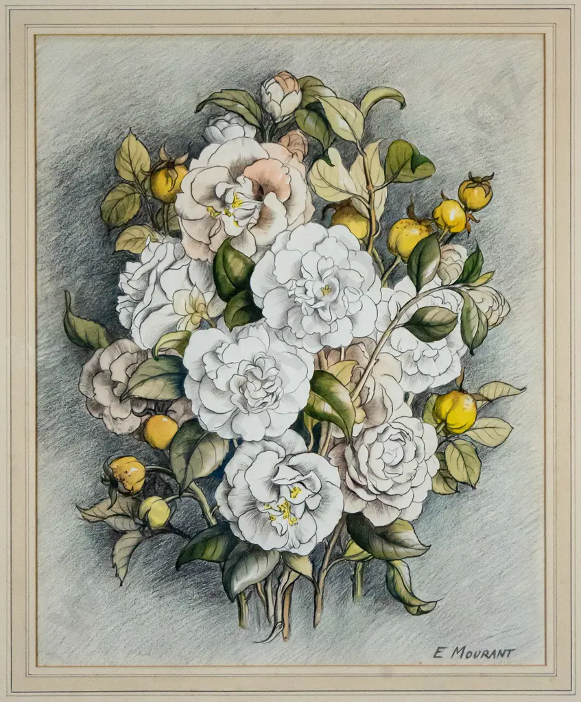 E Mourant - framed pencil "Camellias" H-450 W-360 Image 1++