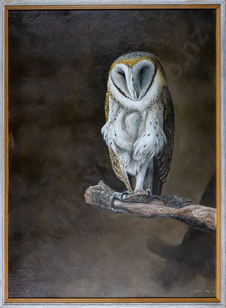 Hadyn 1984 - framed oil "Barn Owl (English)" H-530 W-390 Image 1++