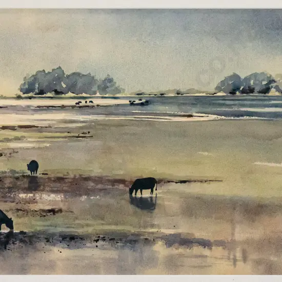 Liz Whyte - framed watercolour "Diamond Lake Near Glenorchy" H-330 W-530