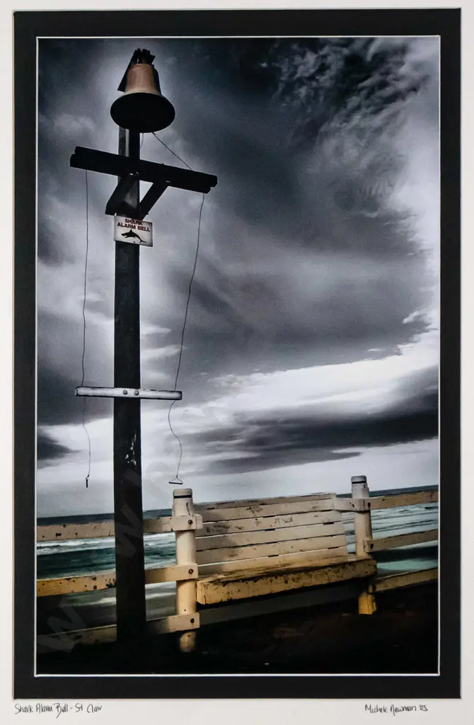 Michele Newman '03 - framed photograph "Shark Alarm Bell- St Clair" H-420 W-260 Image 1++