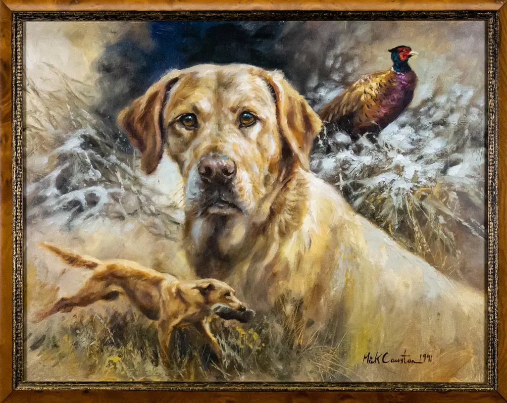 Mick Cawston 1991 - framed oil - dog and pheasant H-350 W-450 Image 1++