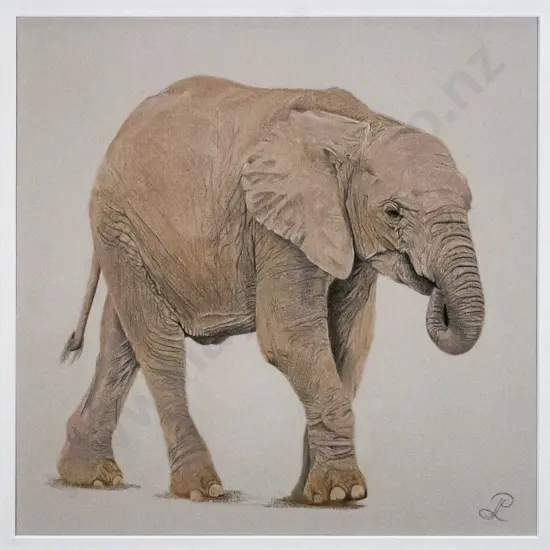 Patricia Latta - framed pencil - elephant H-290 W-290