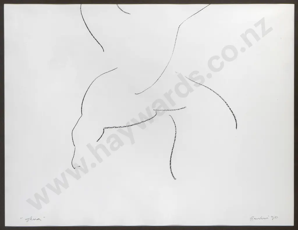 Shaun Burdon - framed conte pencil on paper "Skua" H-540 W-710 Image 1++