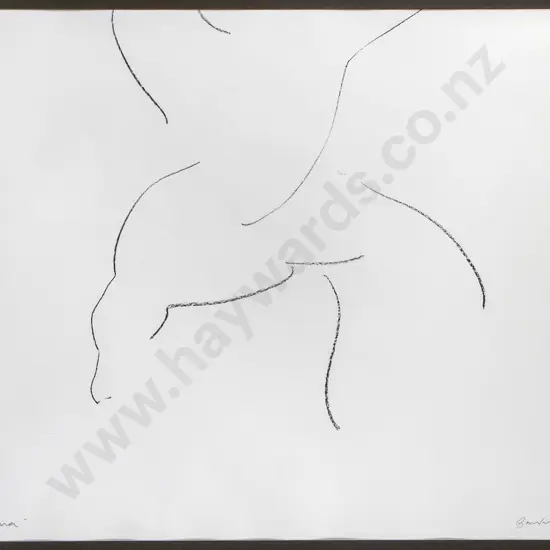 Shaun Burdon - framed conte pencil on paper "Skua" H-540 W-710