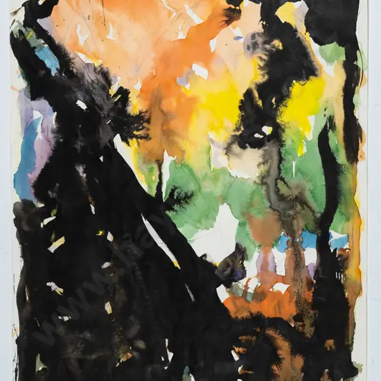 Wayne Seyb 1985 - mounted watercolour and ink "Moller Park and Rainbow" H-590 W-410