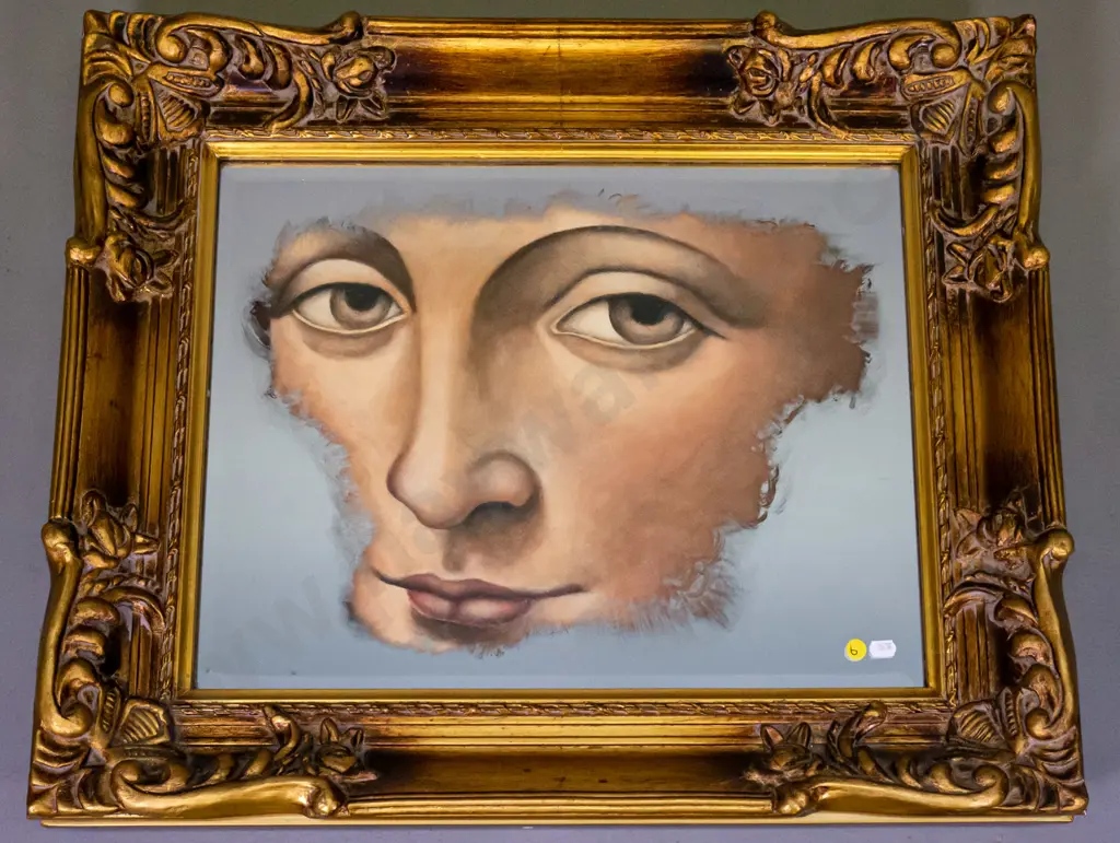 Donna Demente - ornately framed picture mirror H-560 W-660 Image 1++
