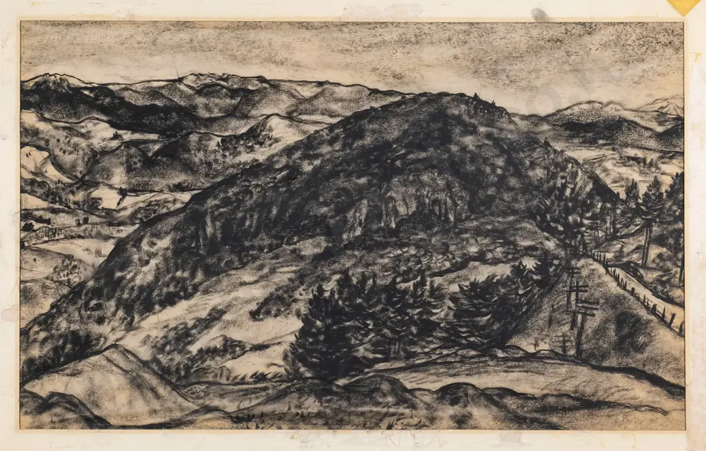 John Shotton Parker '75 - mounted (poorly) charcoal - Otago Peninsula H-480 W-780 Image 1++