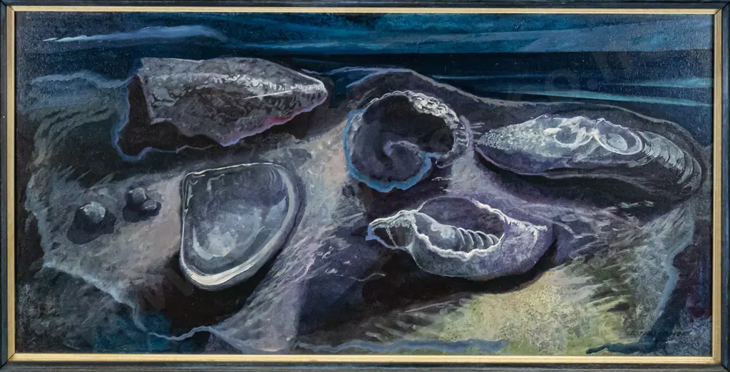 Els Noordhof - framed oil - seashells  H-300 W-600 Image 1++