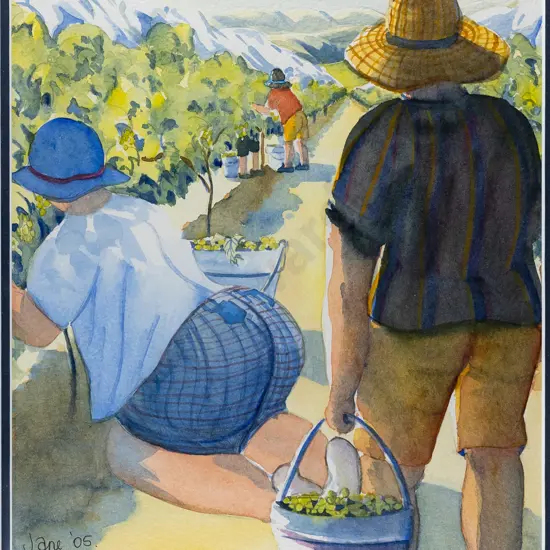 Jane '05 - framed watercolour - grape harvest H-340 W-250
