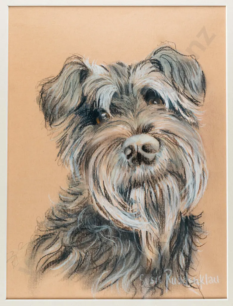 Susie Ruddenklau - framed pencil - dog H-280 W-210 Image 1++