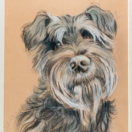Susie Ruddenklau - framed pencil - dog H-280 W-210