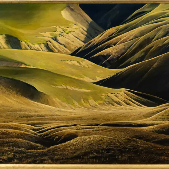 Graham Tait - framed oil "Grass and Tussock East Otago" H-590 W-890