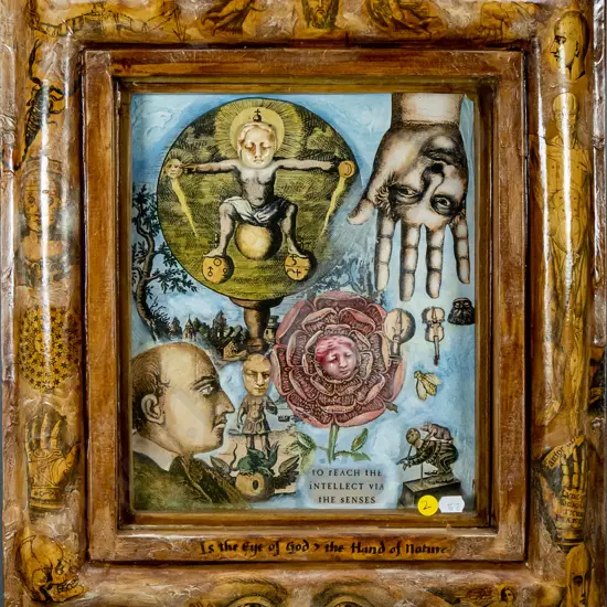 Donna Demente - framed shadow box  H-470 W-410 (includes frame)