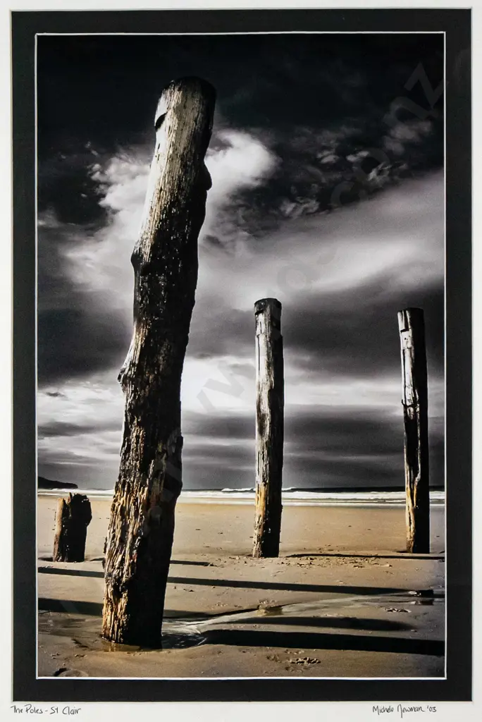 Michele Newman '03 - framed photograph "The Poles - St Clair" H-420 W-260 Image 1++