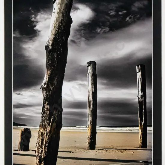 Michele Newman '03 - framed photograph "The Poles - St Clair" H-420 W-260