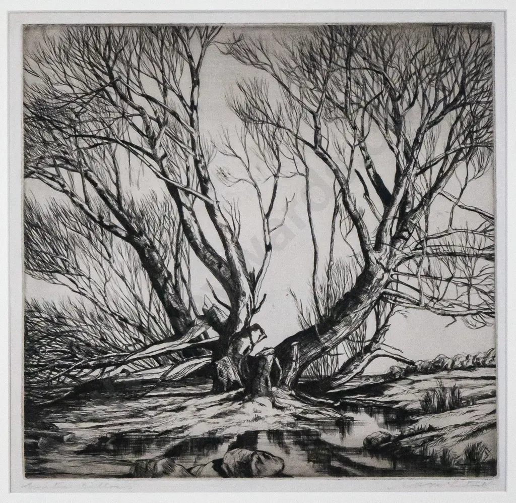AH McLintock - framed etching "Winter Willows" H-240 W-250 Image 1++