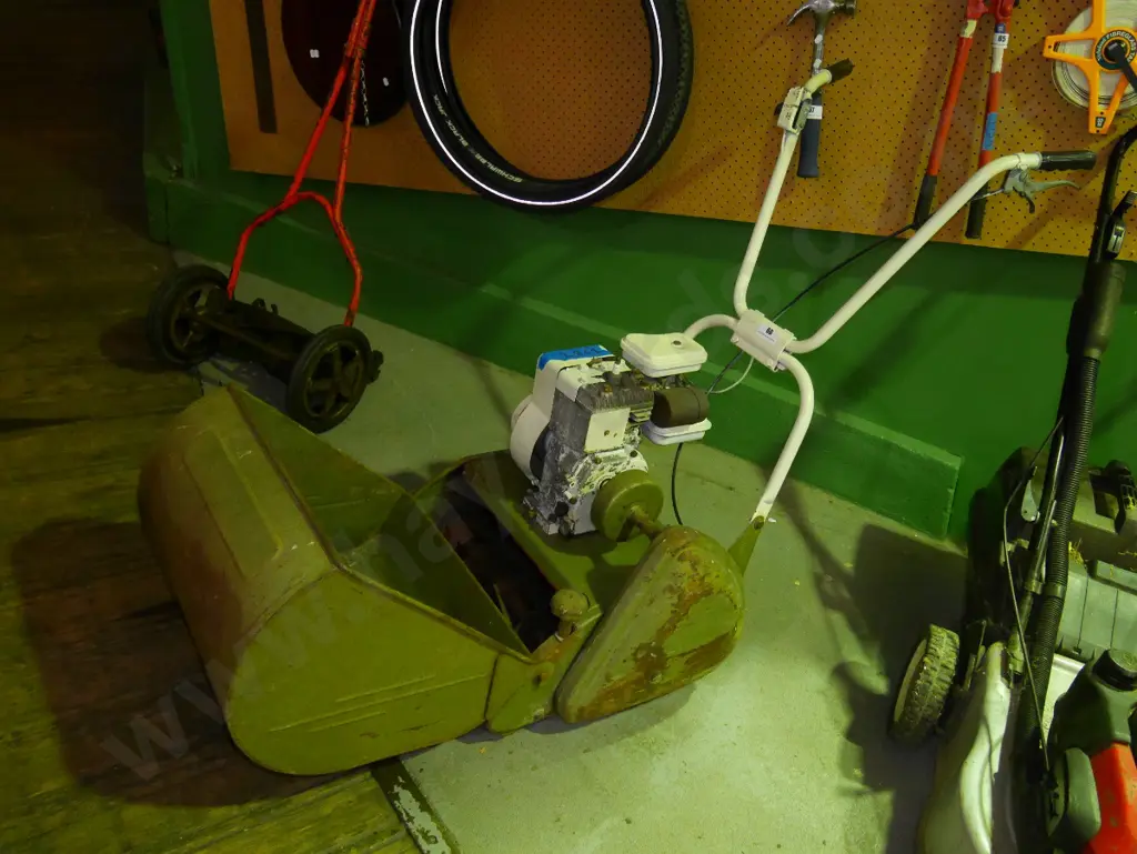 reel mower with Briggs & Stratton mower Image 1++