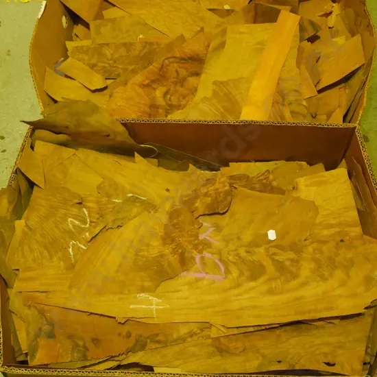 2 boxes of veneers