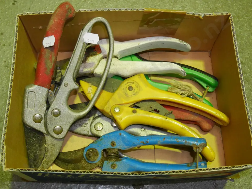box; secateurs Image 1++