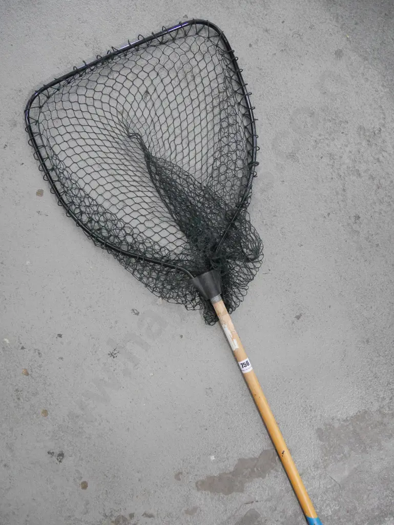 landing net Image 1++