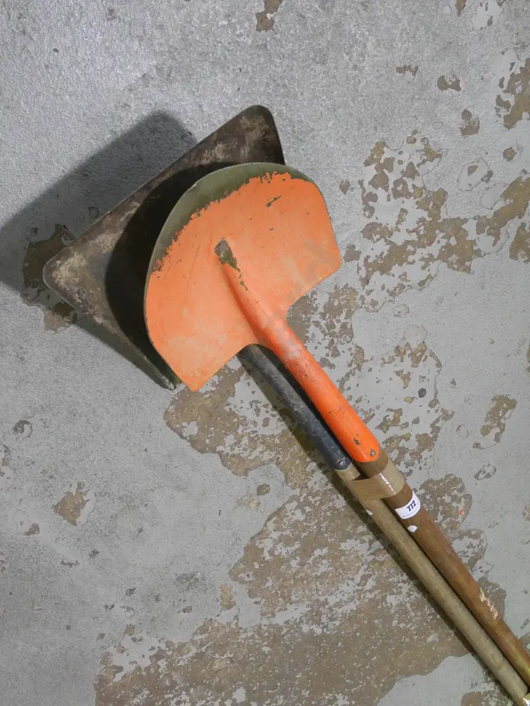 wide mouth shovel, 1 other shovel Image 1++