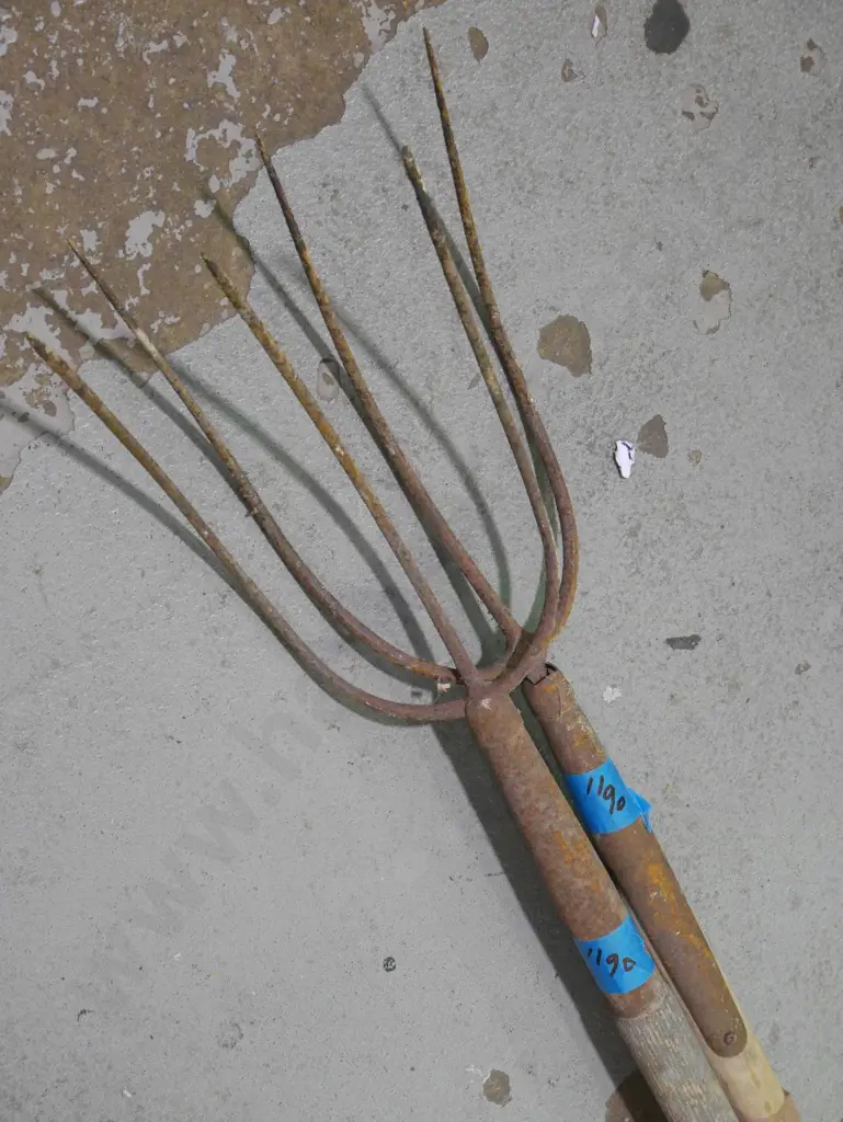 2 rusty pitch forks Image 1++