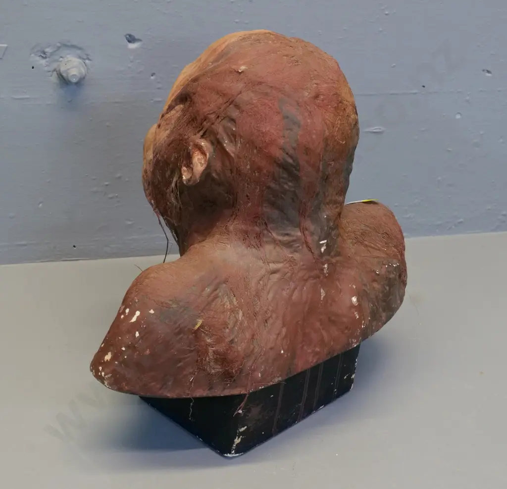 vintage painted plaster orangutan head, remnants of hair, areas of paint loss H-320 W-300 Image 1++