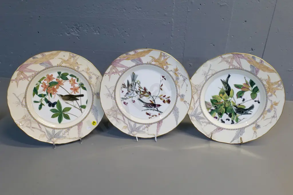 3 Royal Worcester John James Audubon Birds of America plates D-280 Image 1++
