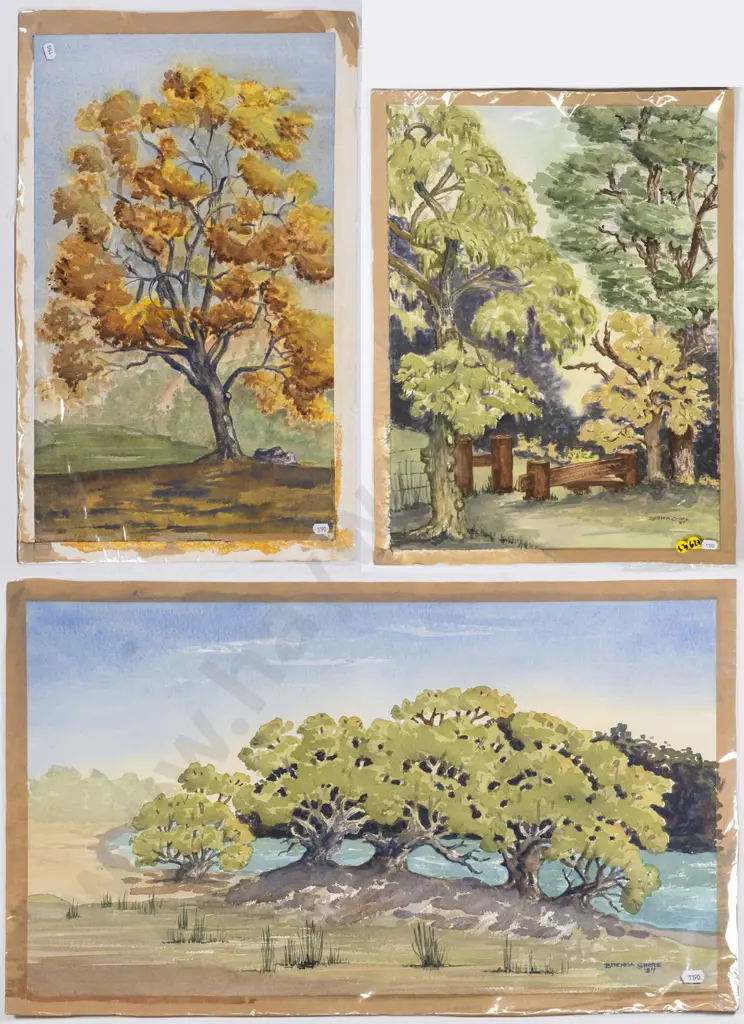 2x unframed Brenda Shore watercolours - tree scenes Each H-540 W-350 Image 1++